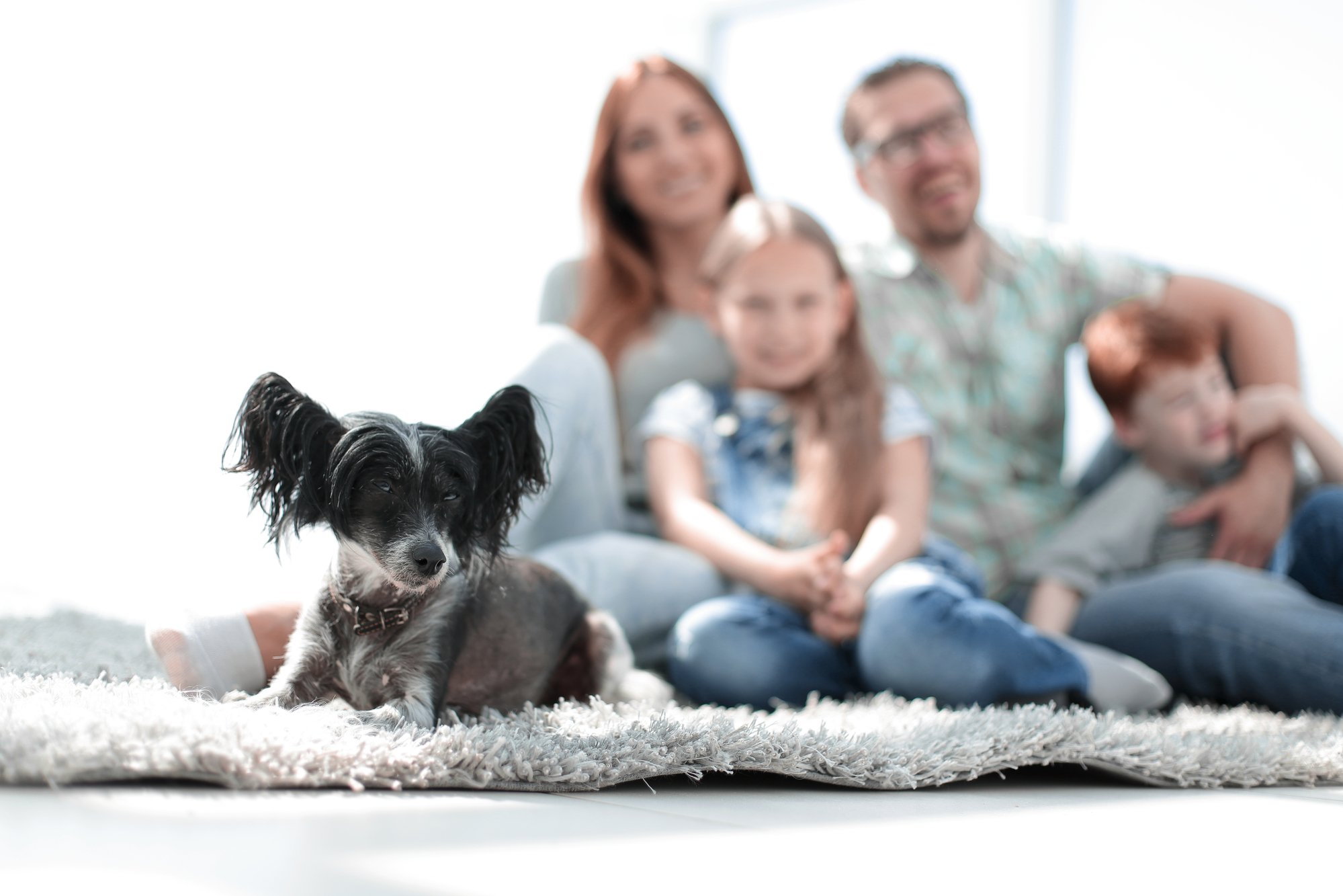 Background image of happy family with pet
