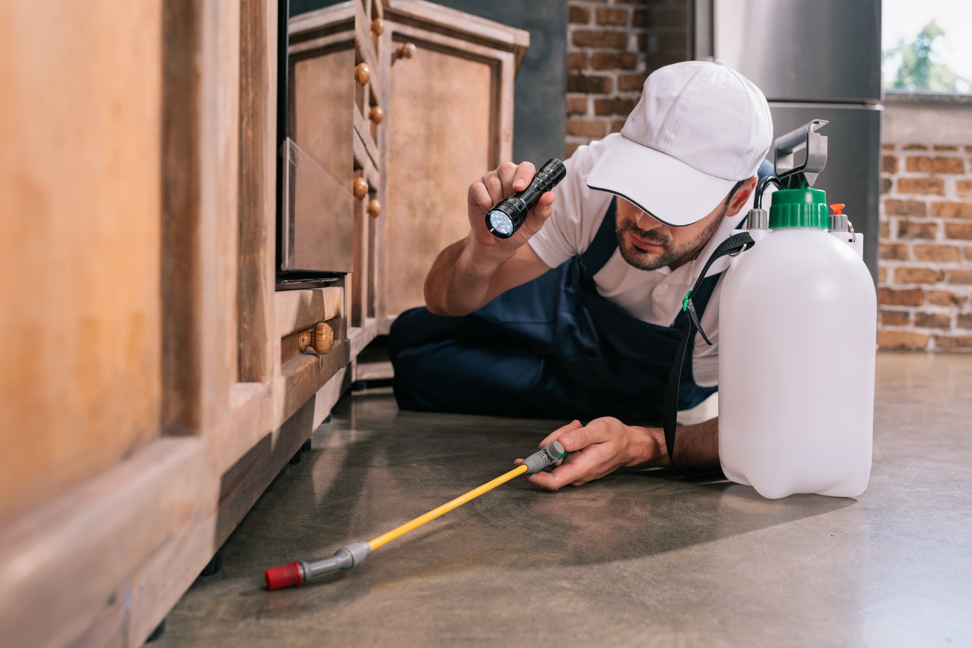 Pest control worker lying on floor and spraying pesticides under cabinet in kitchen