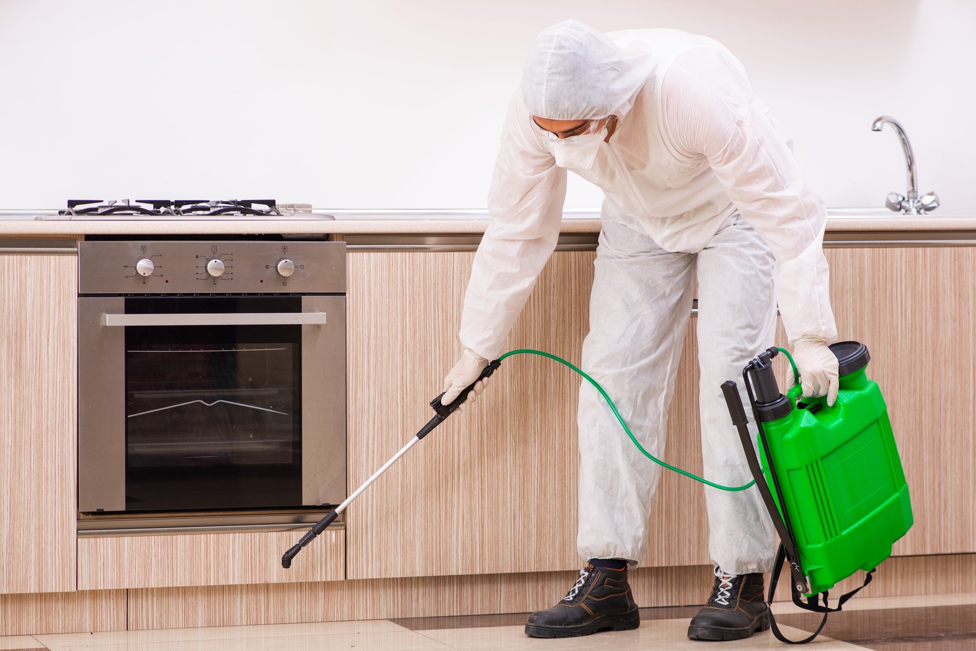 Professional contractor doing pest control at kitchen