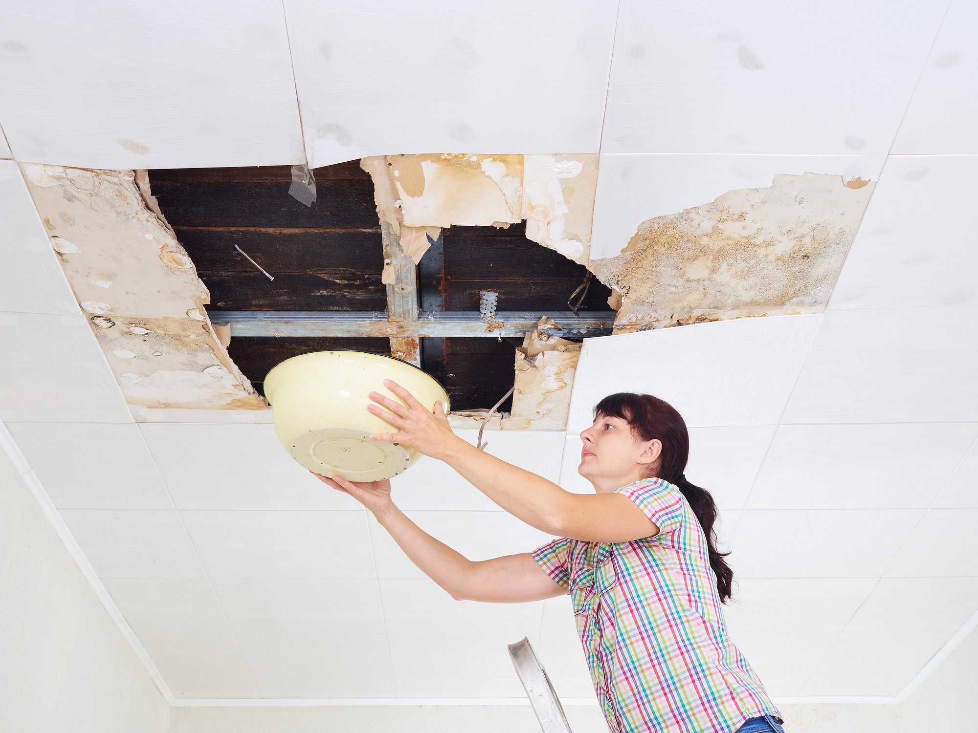 Young Woman Collecting Water In basin From Ceiling. Ceiling pane