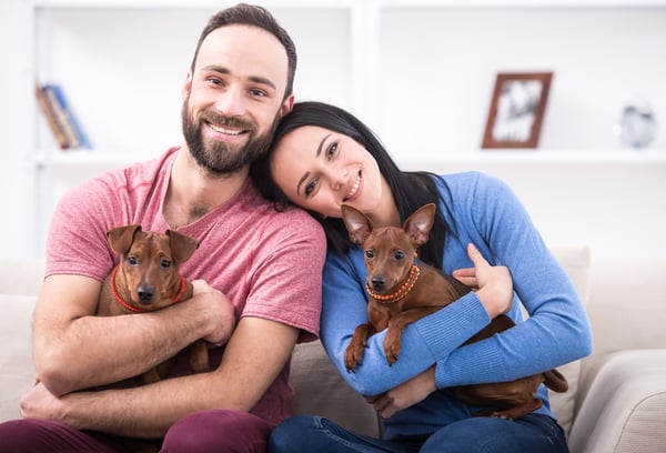 couple holding dogs