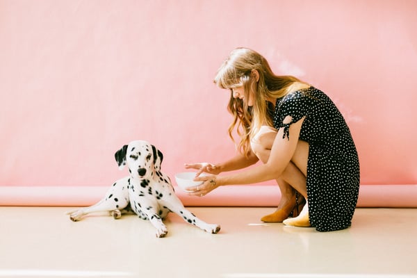 white and black dalmatian dog sitting in front-of woman near 